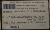 Arcyria denudata image